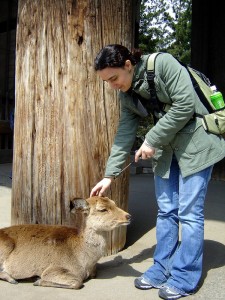 Nara - Nandaimon