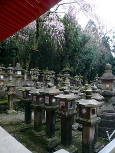 Nara - Kasuga Taisha