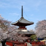 Kawagoe - Kitain Shrine