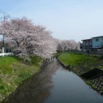 Kawagoe - Shingashi River