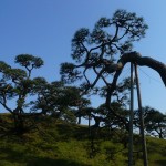 Tôkyô - Chūō - Hamarikyu