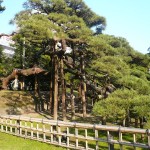 Tôkyô - Chūō - Hamarikyu