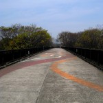 Tôkyô - Harajuku - Yoyogi National Stadium