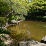 Tôkyô - Jardin du Teien Art Museum