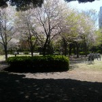 Tôkyô - Jardin du Teien Art Museum