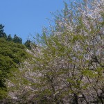 Tôkyô - Jardin du Teien Art Museum