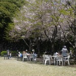 Tôkyô - Jardin du Teien Art Museum