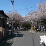 Tôkyô - Yanaka