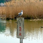 Tôkyô - Ueno