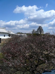 Himeji - Château