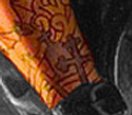 details_02_Mercy2