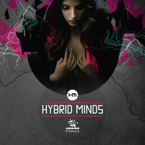 hybridmind