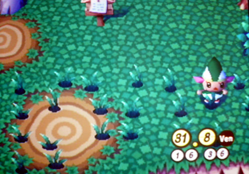 Animal Crossing