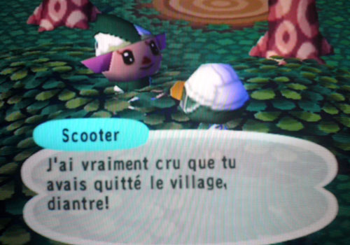 Animal Crossing