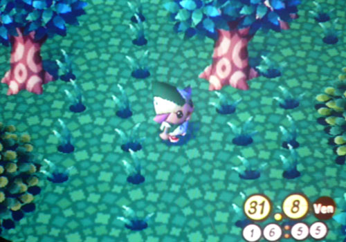 Animal Crossing