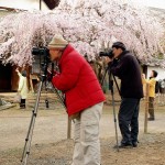 japonais