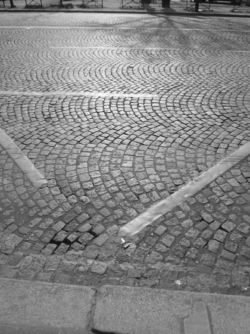 Photo Zapienne