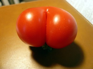 sexy tomate