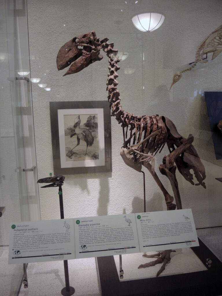 American Museum of Natural History