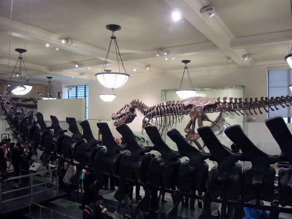 American Museum of Natural History