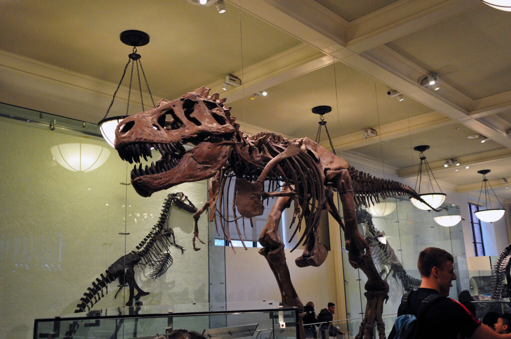 American Museum of Natural History