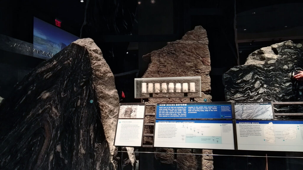 American Museum of Natural History