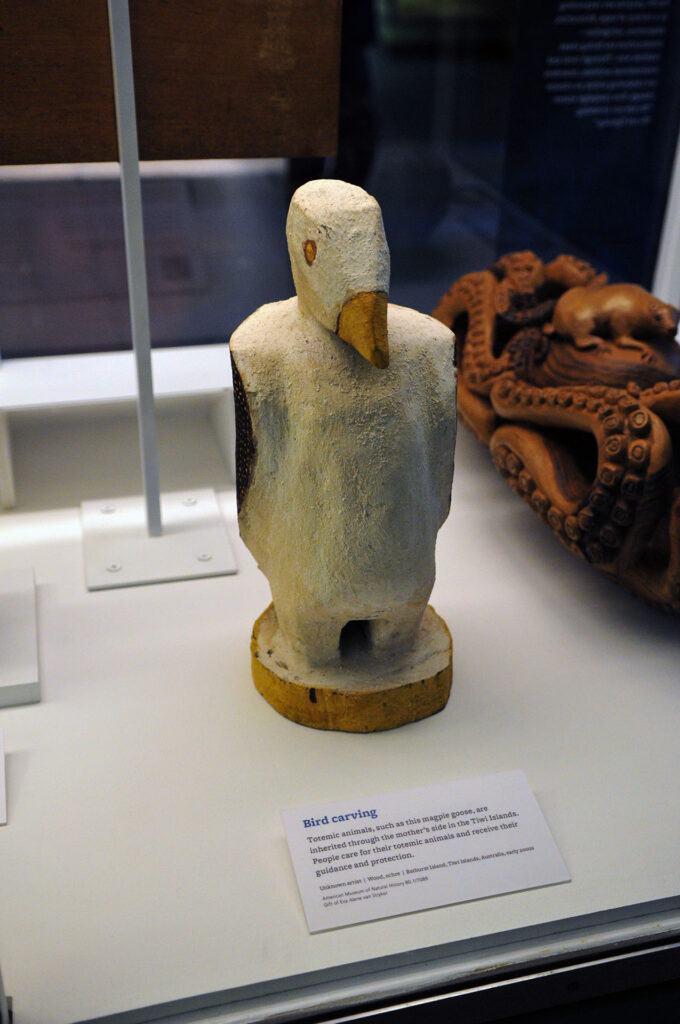 American Museum of Natural History