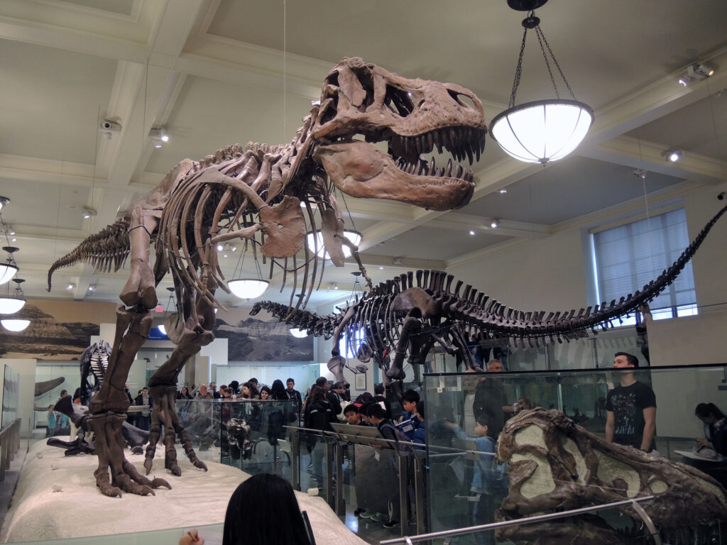 American Museum of Natural History