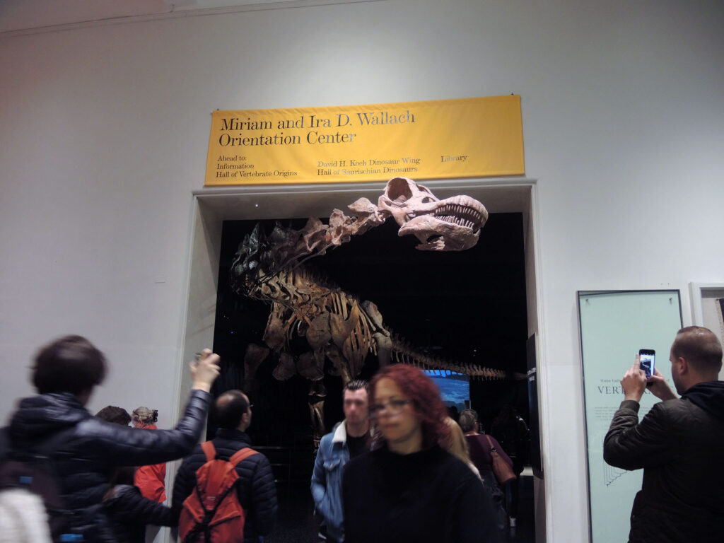 American Museum of Natural History