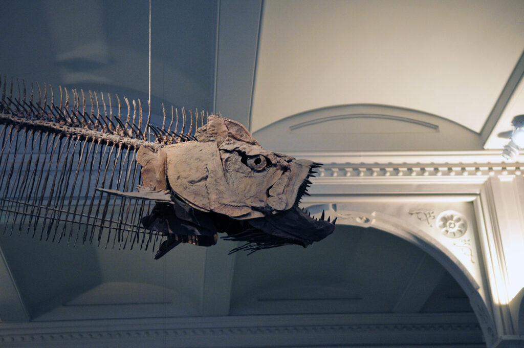 American Museum of Natural History