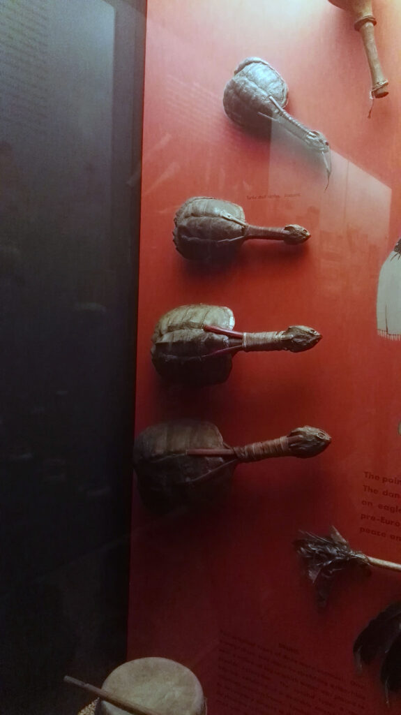 American Museum of Natural History