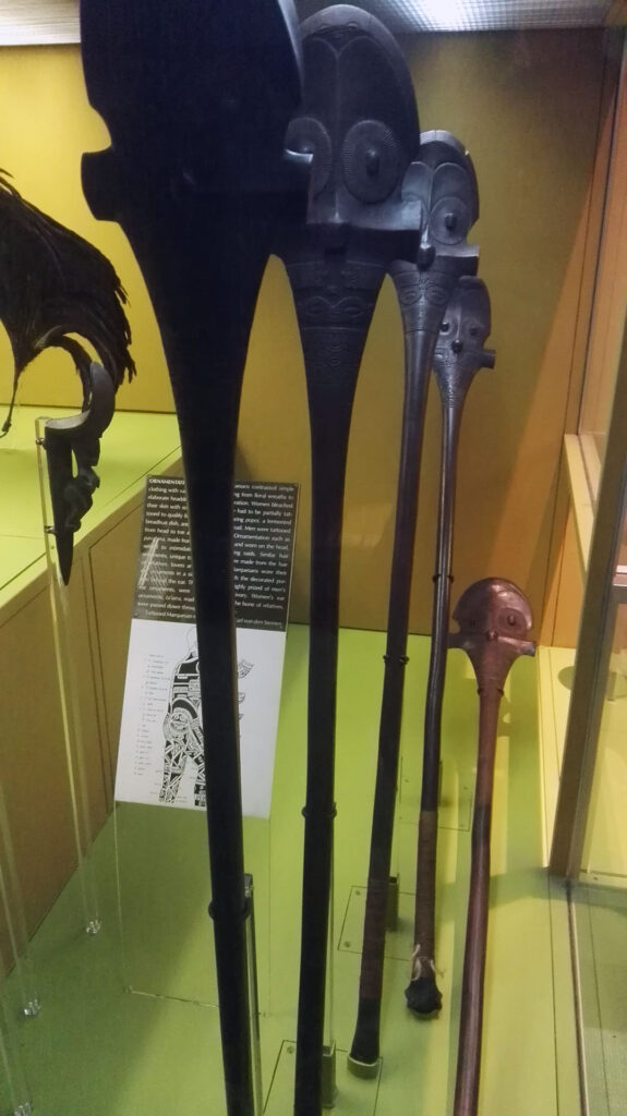 American Museum of Natural History