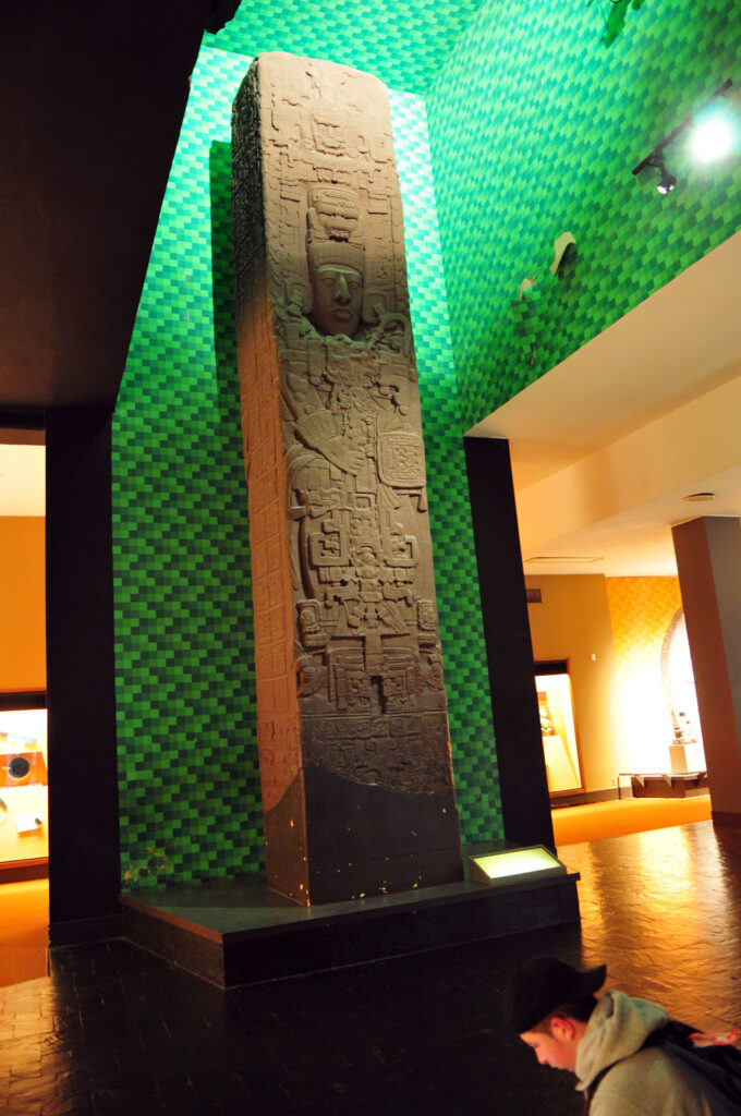 American Museum of Natural History